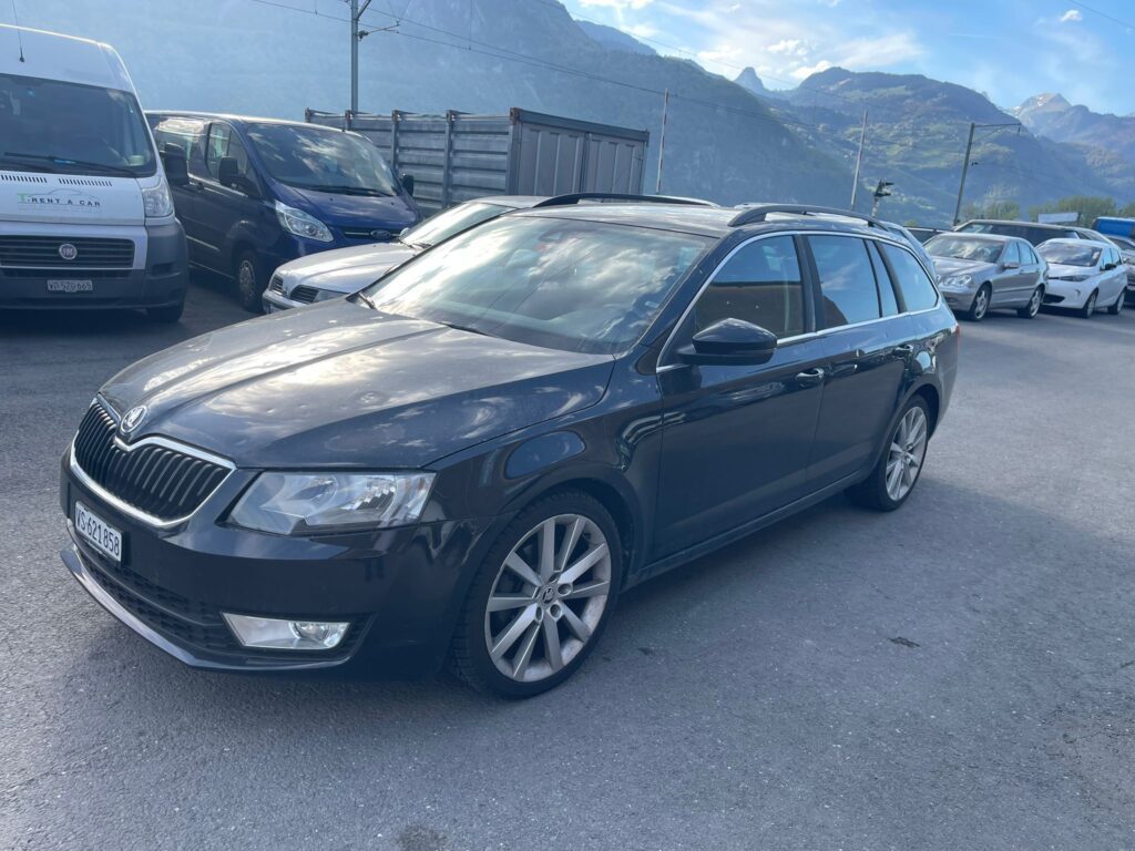 WhatsApp Image 2026 04 17 at 17.50.49